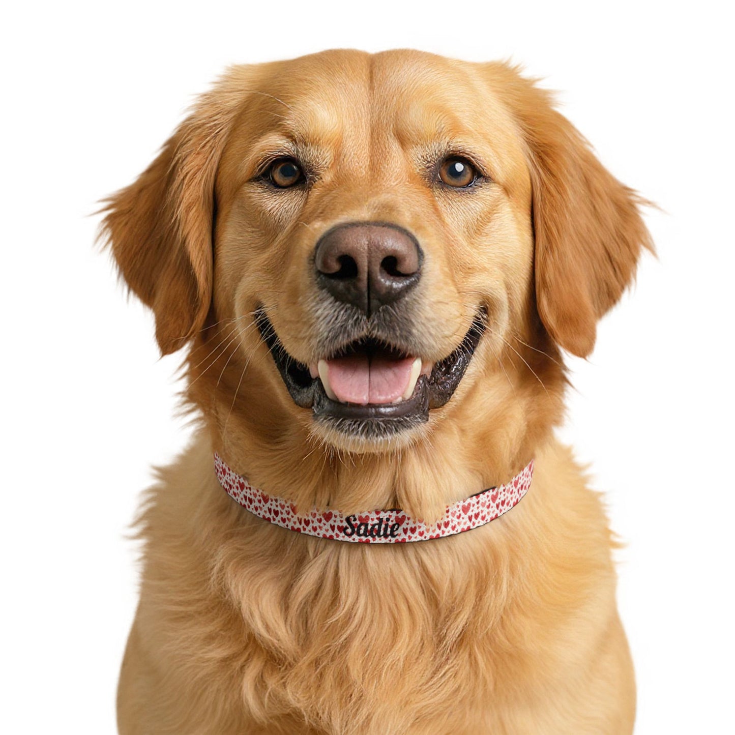 Personalized clip-on pet collar with heart pattern, suitable for small dogs or cats, featuring colorful heart designs.