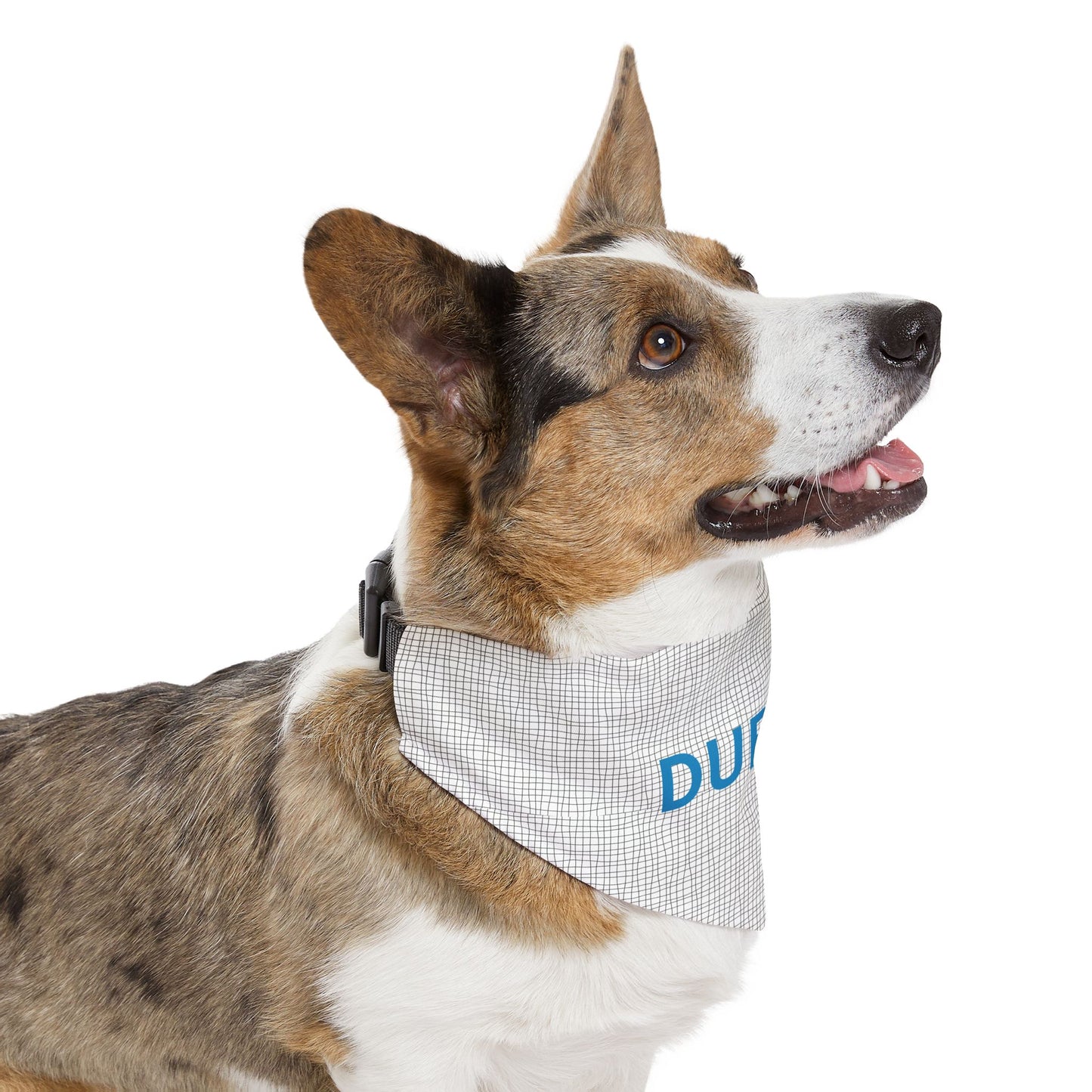 Personalized black and grey polka dot pet bandana collar for dogs, featuring adjustable design and custom pet name text.