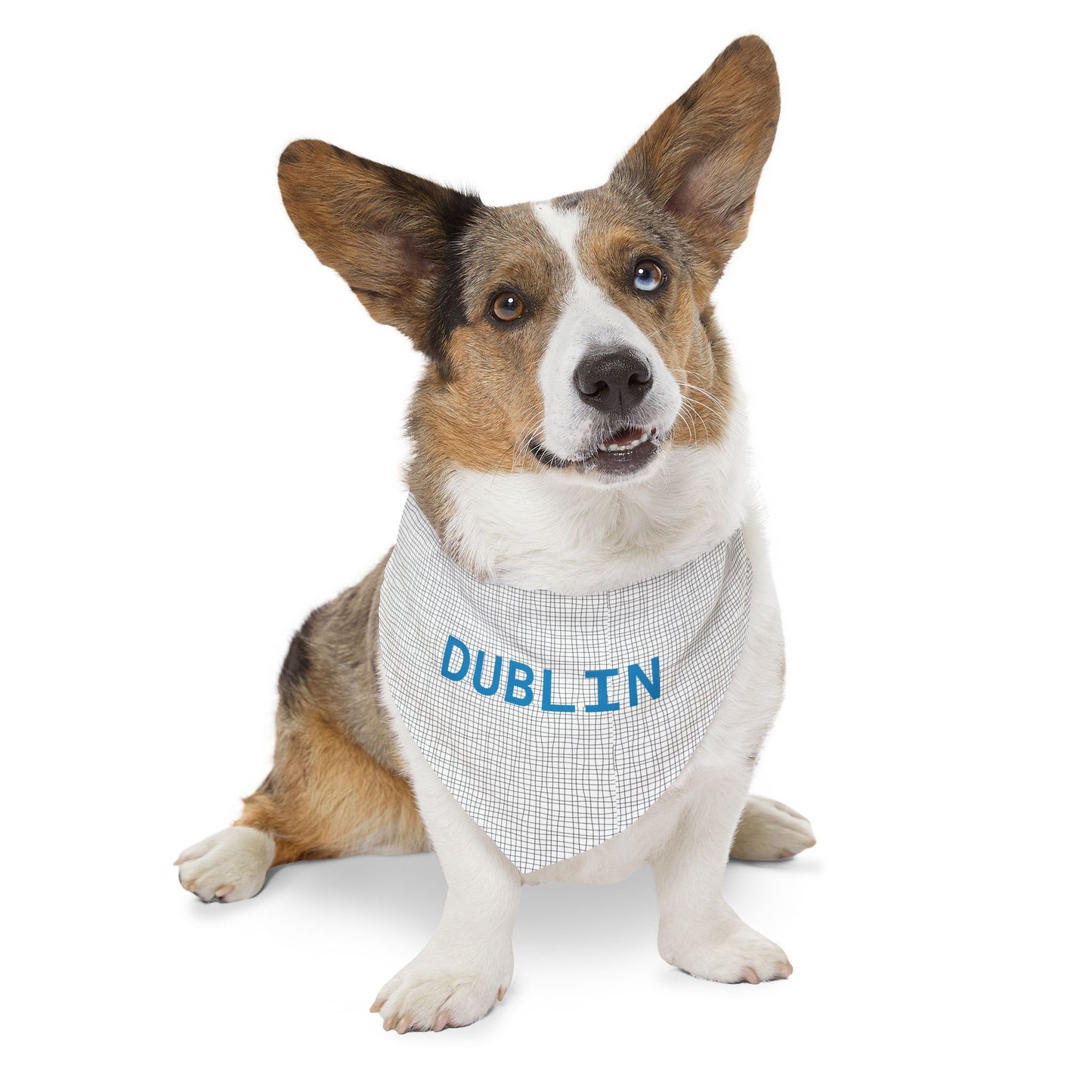 Personalized pet bandana collar with black and grey polka dot pattern for dogs, made by Printify.