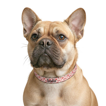 Personalized clip-on pet collar with heart pattern from Printify, featuring adjustable design for dogs or cats.