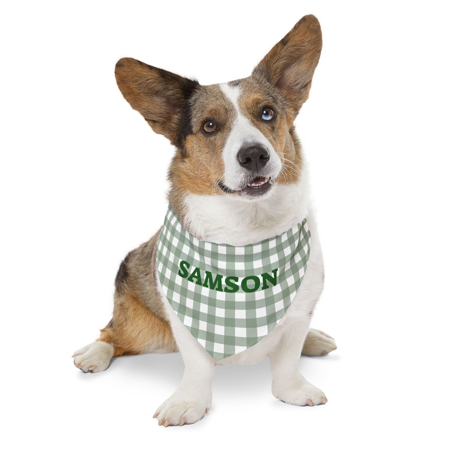 Personalized green gingham bandana collar for pets with adjustable strap, stylish and comfortable for dogs or cats.