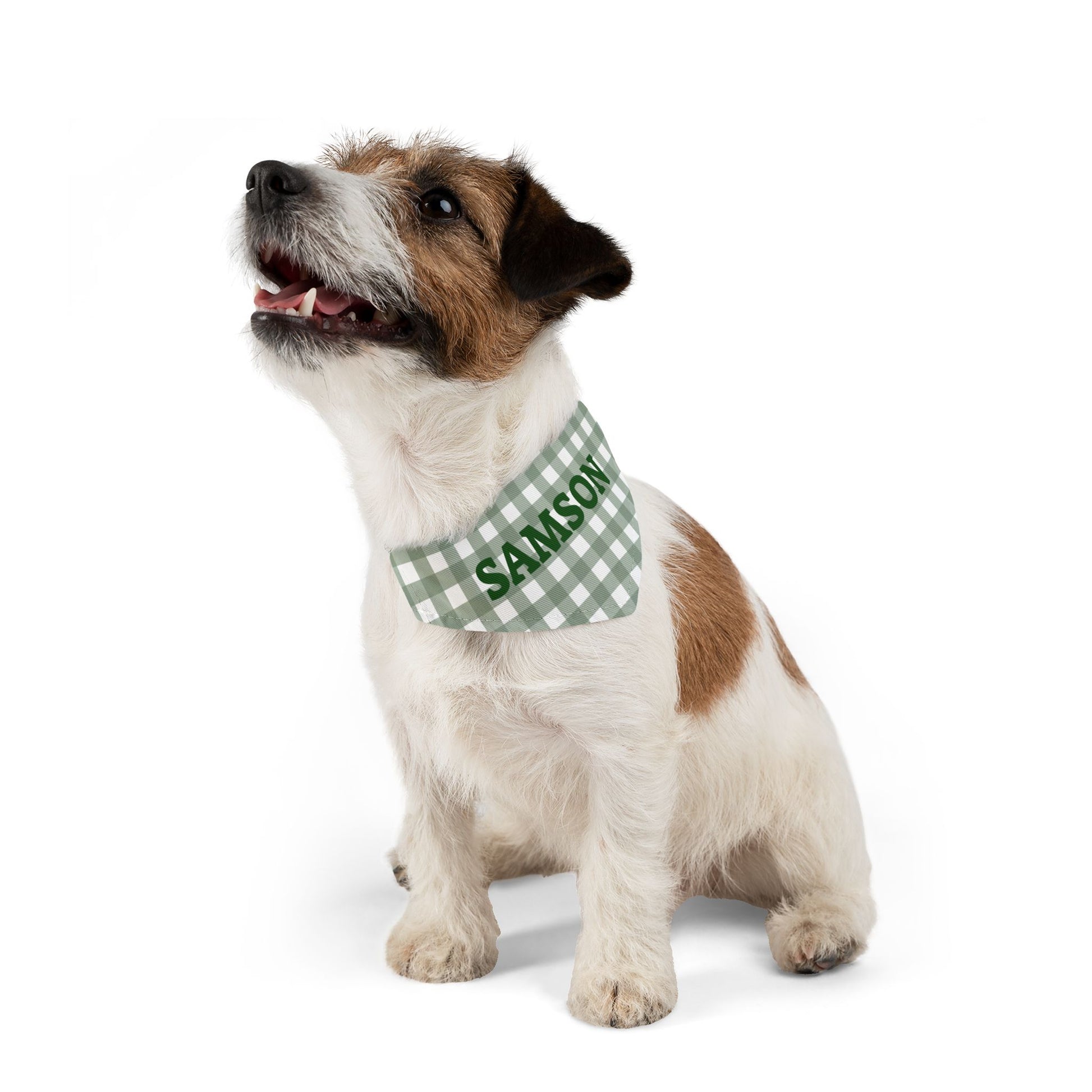 Personalized green gingham pet bandana collar with customizable name for dogs or cats, stylish and comfortable accessory.