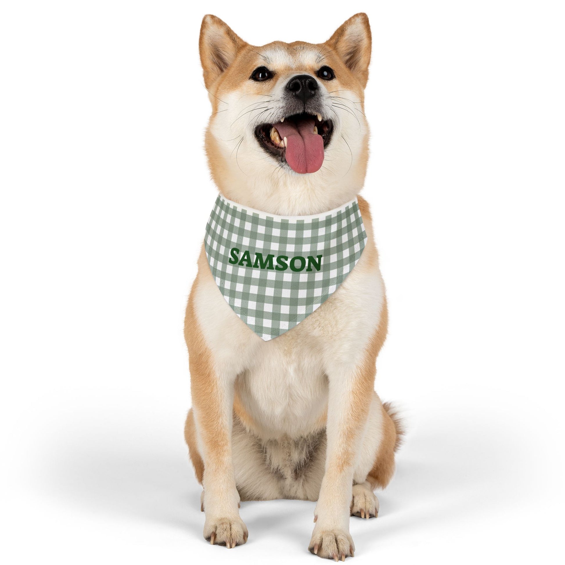 Personalized green gingham pet bandana collar with custom name embroidery, designed for dogs or cats.