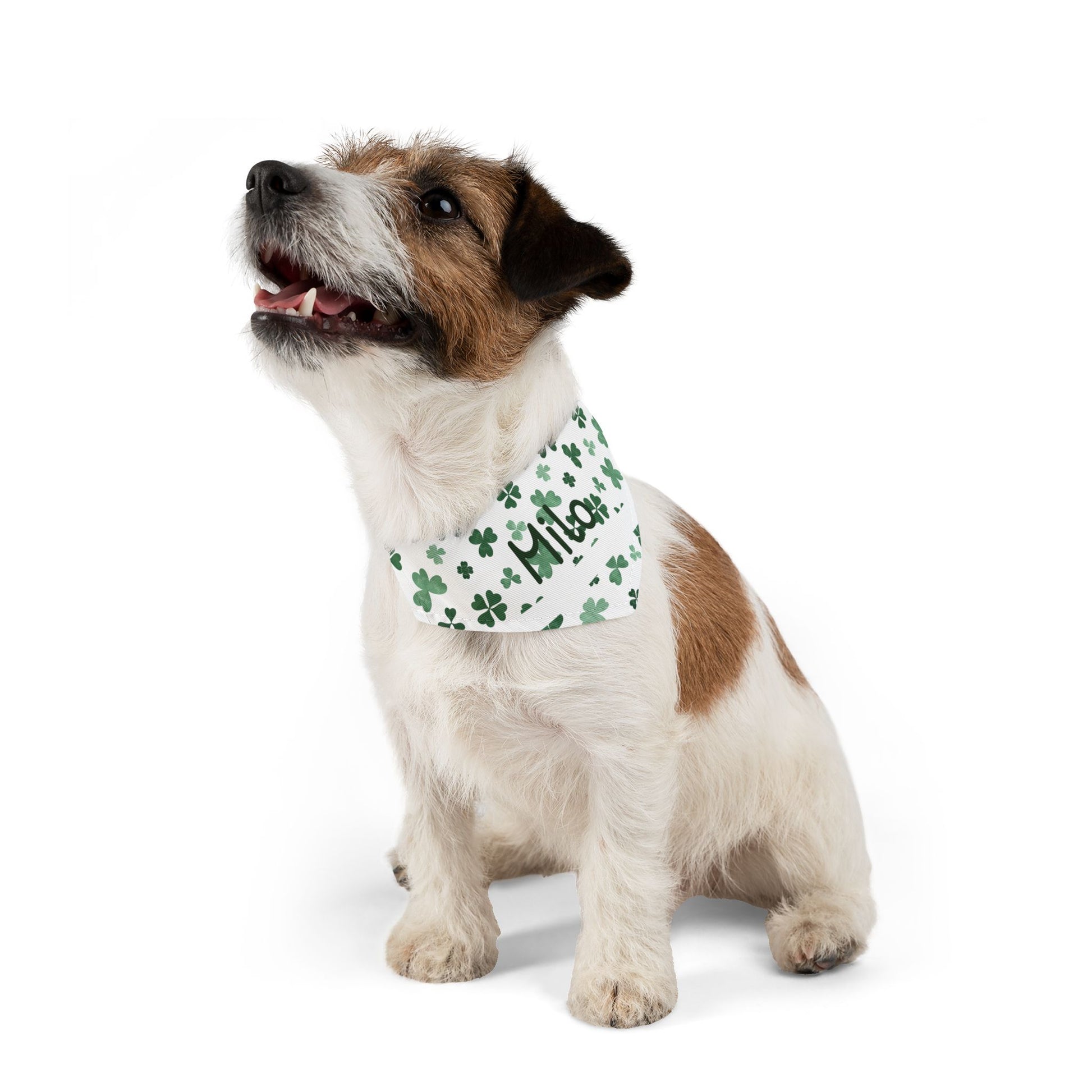 Personalized pet bandana collar in lucky green with custom print, designed for dogs and cats by Printify.