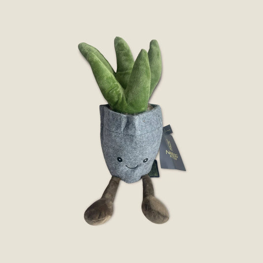 Calming Succulent Pot Dog Toy