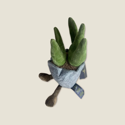 Calming Succulent Pot Dog Toy
