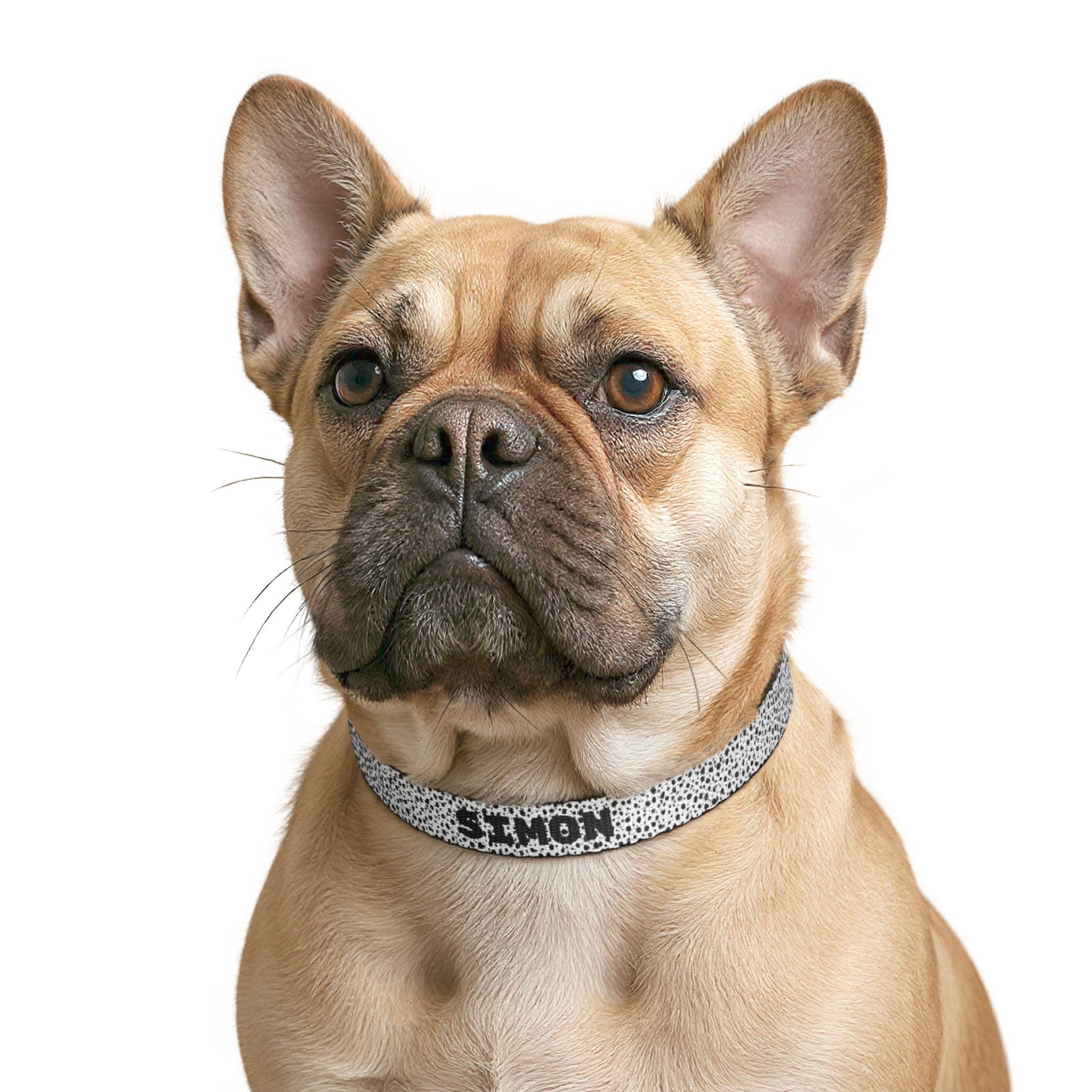 Personalized black and white patterned clip-on pet collar from Printify, featuring a stylish design for small pets