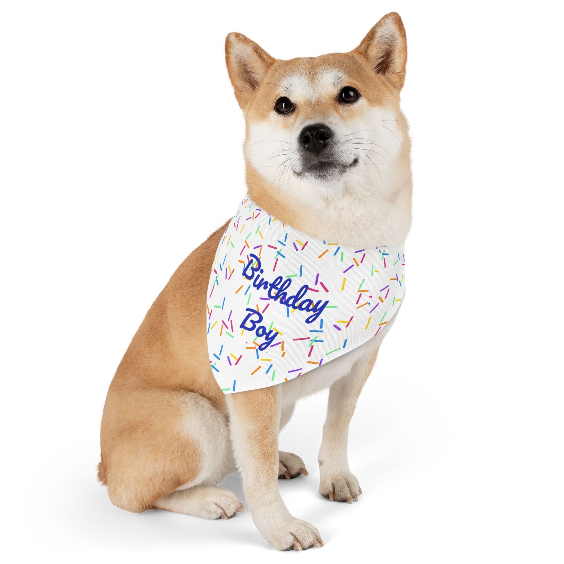 Pet pet bandana collar with "Birthday Boy" print, worn around the neck of a dog, for celebrating special occasions.