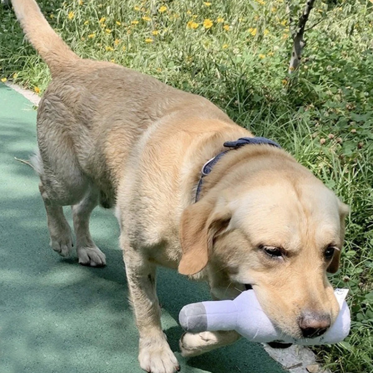 Soft plush alcohol bottle-shaped dog chew toy with sound, designed for pet play and entertainment by Fetch & Feature.