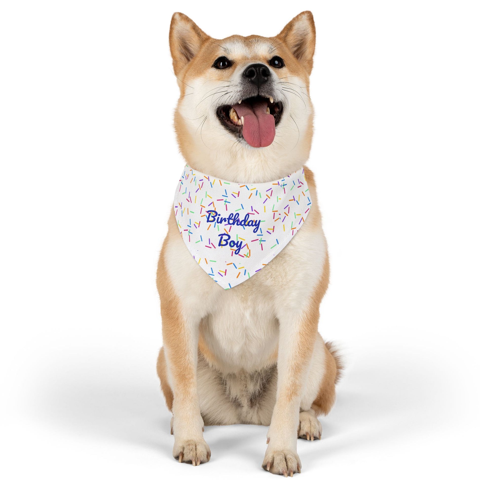 Pet bandana collar for pets featuring a "Birthday Boy" print, stylish accessory for dogs and cats from Printify.