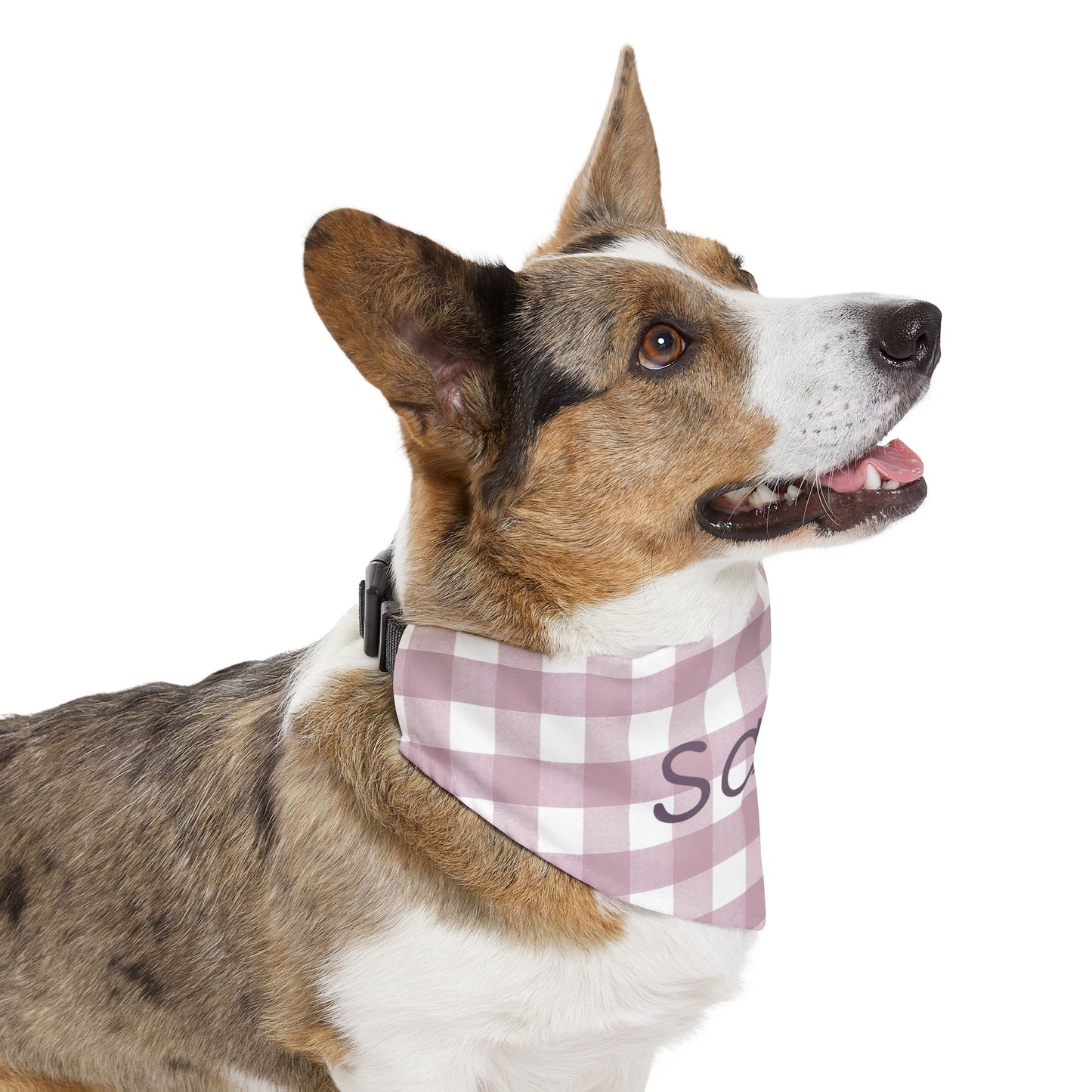 Pink gingham print personalized pet bandana collar for dogs or cats, featuring customizable text and adjustable fit.