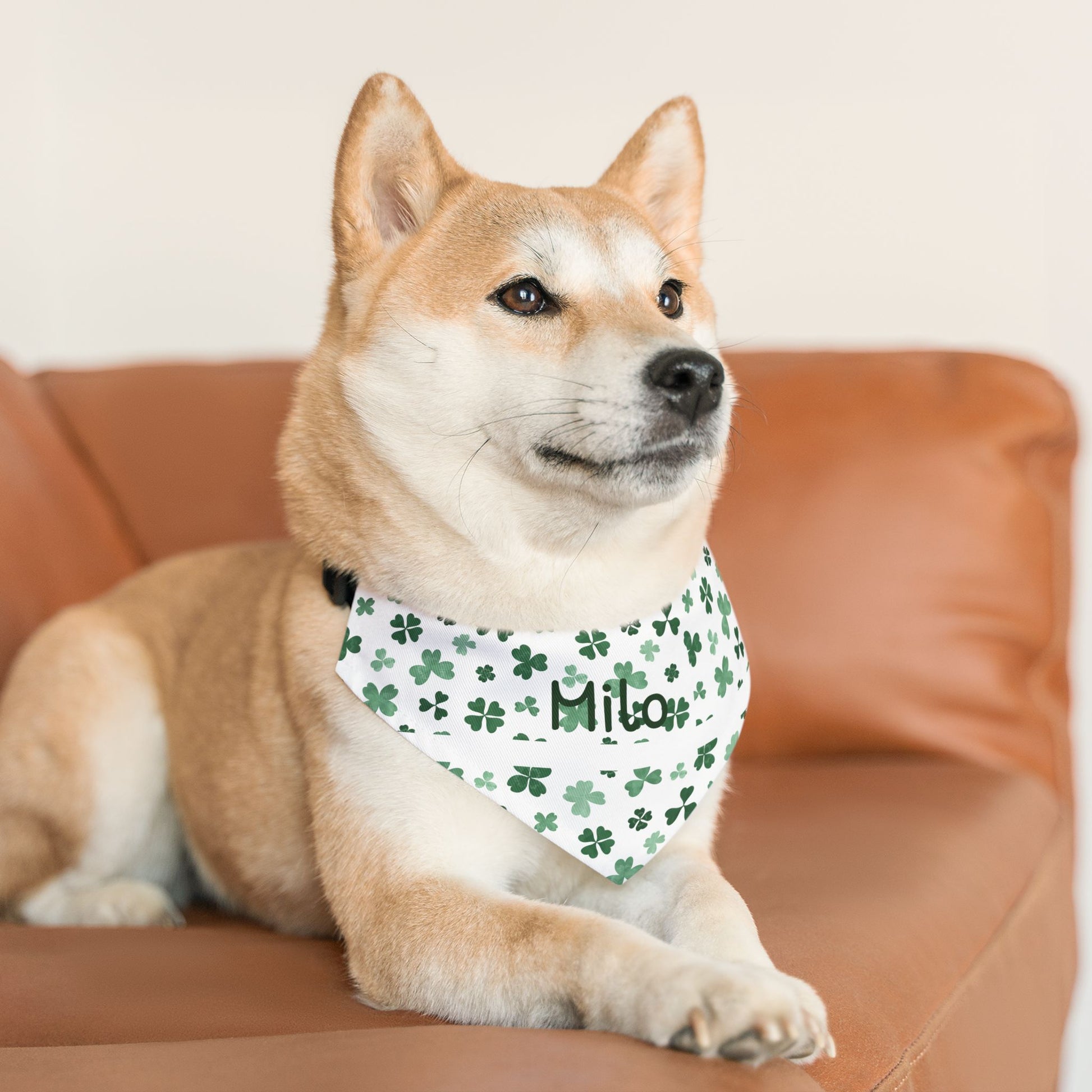 Personalized pet bandana collar in Lucky Green for pets, featuring custom text, made by Printify.