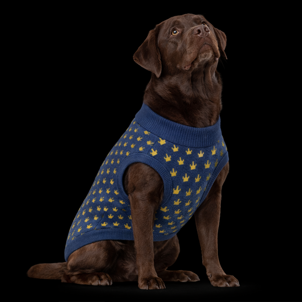 Knitted pet sweater by Crown Prince for dogs, featuring cozy fabric and stylish design, ideal for keeping pets warm and fashionable.