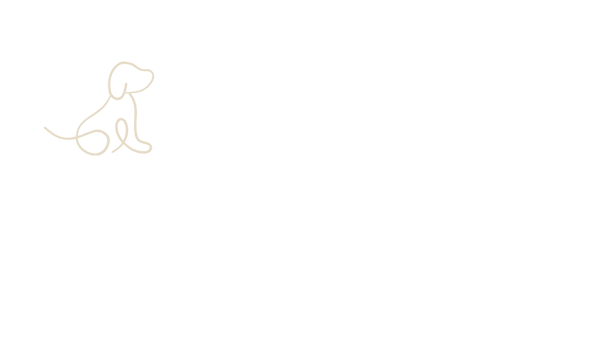 Fetch & Feature