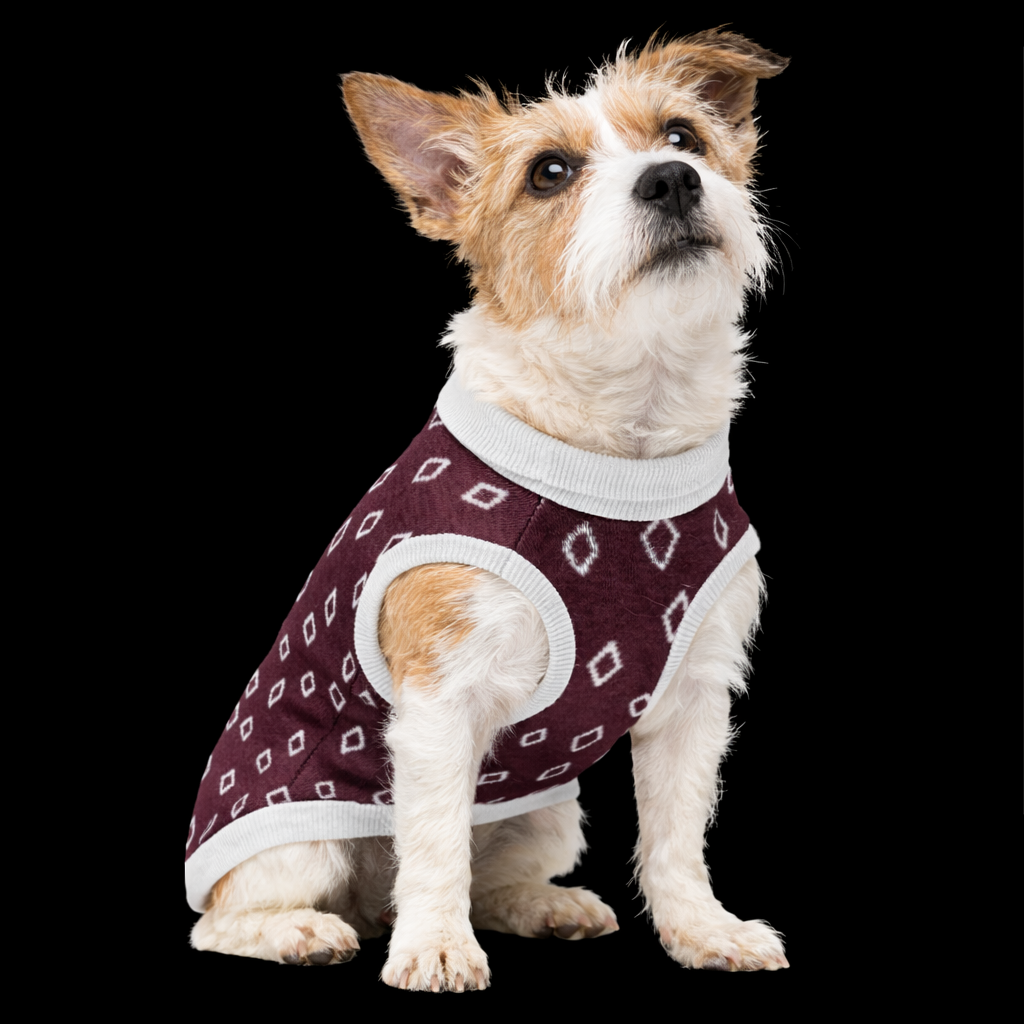 Knitted pet sweater with geometric plum pattern for dogs, made by Fetch & Feature, showcasing cozy, stylish dog apparel.