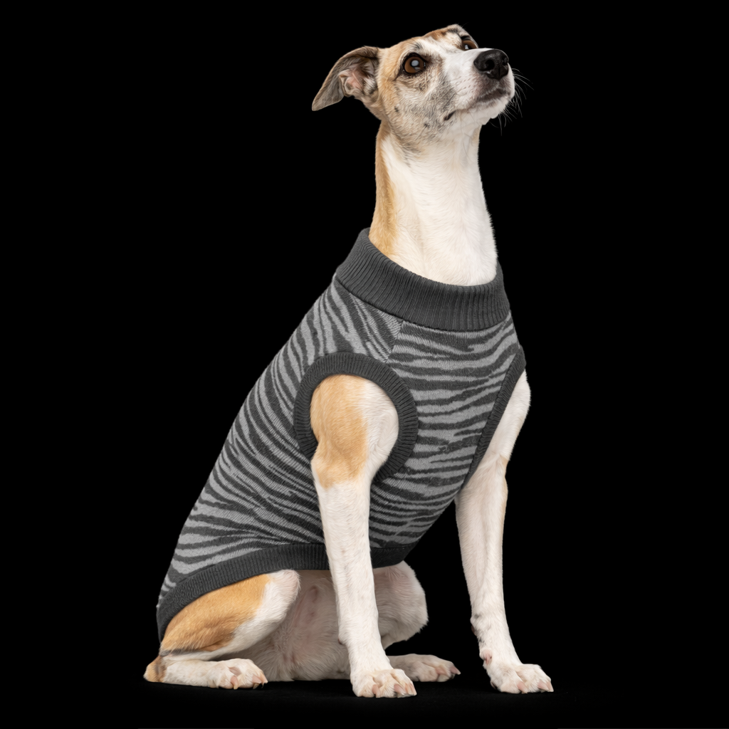 Dog wearing a horizontal striped knitted pet sweater by Fetch & Feature, showcasing blue and white pattern on a cozy garment.