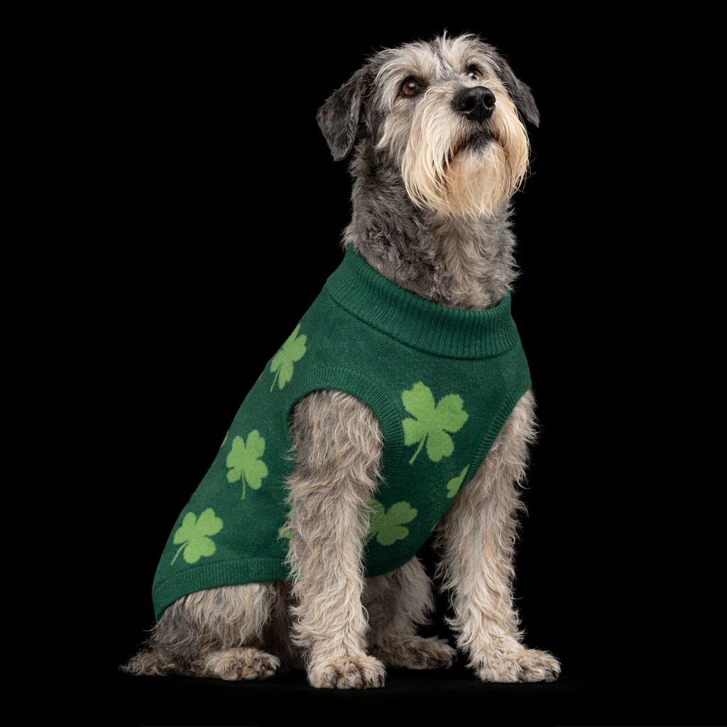 Green knitted dog sweater by Fetch & Feature, featuring a cozy, stylish design for small pets.