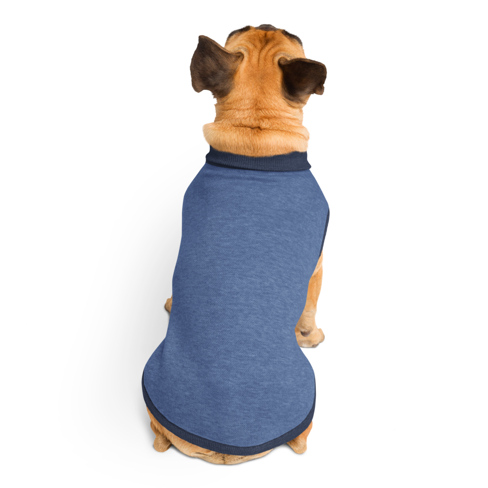 Blue knitted pet sweater from Fetch & Feature, featuring denim accents, designed for small dogs to keep them warm and stylish.
