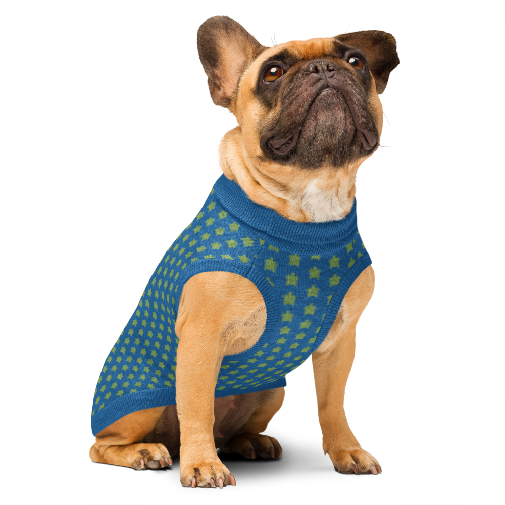 Bright Star knitted pet sweater for dogs, showing the front right side with cozy, colorful knit pattern and ribbed collar.