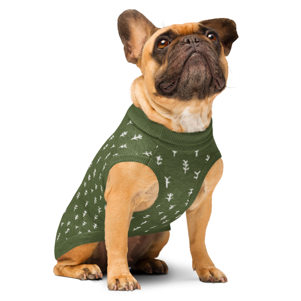 Knitted Forest Flower Pet Sweater for small dogs by Fetch & Feature, showing the front and side view in natural knit fabric.